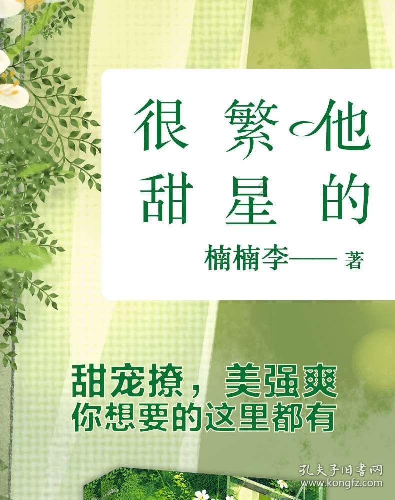 影之诗