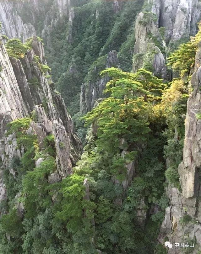 足球啦啦队员